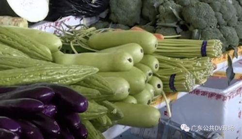 梦到吃瓜中毒,瓜果中毒背后的神秘启示